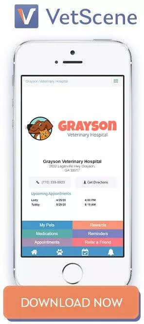 grayson-download-app