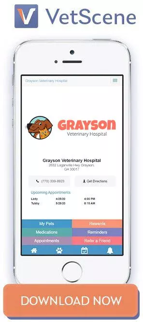 grayson-download-app grayson-download-app